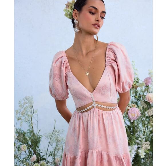 V. Chapman Anthropologie Pink Maxi Dress - Picture 2 of 13